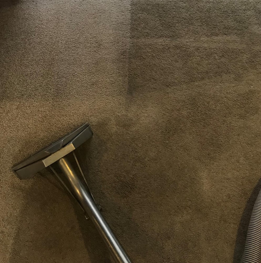 Quality carpet care, flooring and window cleaning